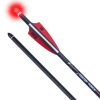 Ten Point Lighted CenterPunch HPX Premium Carbon Arrows (3-pack)