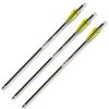 TenPoint Pro Elite 400 Carbon Crossbow Arrows - 3 Pack