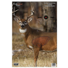 Birchwood Casey Pregame Hanging Paper 16.5" x 24" Deer Multi 3 Pack 35401