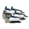 Avery GHG Hunter Series Over Size Foam Filled Bufflehead Decoys 6 Count