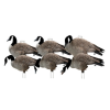 Avery GHG Pro-Grade Silhouette Canada Goose Decoys 6 Count