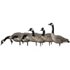 AVIAN-X AVX9006 AXP HONKER FUSION 6 PACK