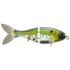 Bucca Trick Shad 6" Pro Herring