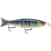 Storm Arashi Glide Bait 7 1/2" True Gill