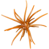 Hag's Baits Prickly Pear Jr 9.9 mm Mesquite Magic