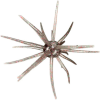 Hag's Baits Prickly Pear Jr 9.9 mm Hill Country Hologram