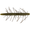 Yamamoto Fuzzy Senko 5" Green Pumpkin Black Fleck