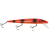 Smithwick Perfect 10 Rogue 5 1/2" Scorcher