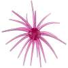 Hag's Baits Prickly Pear - 19mm Palo Duro Purple