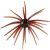 Hag's Baits Prickly Pear - 19mm Red Dirt Renegade