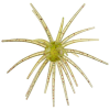 Hag's Baits Prickly Pear - 19mm Rojo Sandia