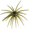 Hag's Baits Prickly Pear - 19mm Guadalupe Haze