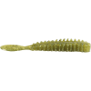 Poor Boy's Erie Darter