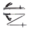 Black Diamond Carbon Compactor Ski Poles, Cactus, 130 cm