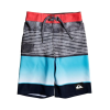 Quiksilver Highline Slab 14 Inch - Boy's, Hibiscus, 2