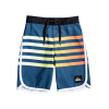 Quiksilver Everday Grass Roots 14 Inch - Boy's, Moonlit Ocean, 2
