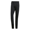 Adidas Outdoor Terrex Mountain Flash Men's Pant, Carbon, 30
