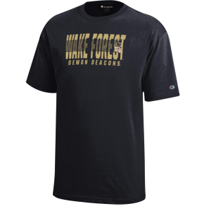 Champion Champion Boys' Wake Forest Demon Deacons Black T-Shirt, Large - $25.00 at DICK'S Sporting Goods