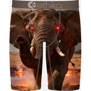 Ethika Inc Ethika Boys' Thunder Tusk Boxer Briefs, Small, Orange/Grey - $15.00 at DICK'S Sporting Goods