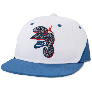 Nike Jordan AJ3 True Blue Pro Cap, Boys' - $32.00 at DICK'S Sporting Goods