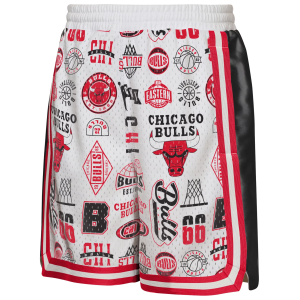NBA Youth Chicago Bulls Ball Hog Shorts, Small, White