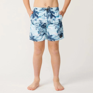 Rip Curl Rip Curl Boy's Dreamers Volley Boardshort, Size 8, Glacier Blue - $34.95 at DICK'S Sporting Goods