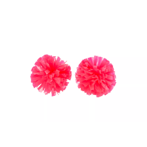 Dsg DSG Neon Pink Mini Wet Pom Poms - $16.99 at DICK'S Sporting Goods