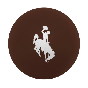 Logo Wyoming Cowboys Bounce Ball, Brown