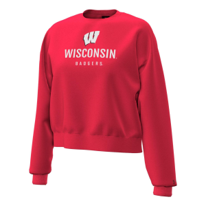 Under Armour Women's Wisconsin Badgers Red Essential Fleece Crewneck Sweatshirt, Small, Black