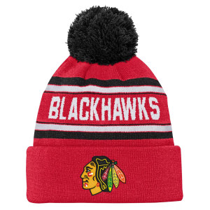 Outerstuff NHL Youth Milwaukee Admirals Jacquard Pom Knit Hat, Red - $25.00 at DICK'S Sporting Goods