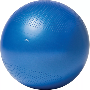 DSG Weighted Stability Ball, 65cm