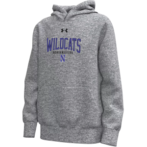 Under Armour Under Armour Girls' Northwestern Wildcats Icon Hoodie, Small, Gray - $60.00 at DICK'S Sporting Goods