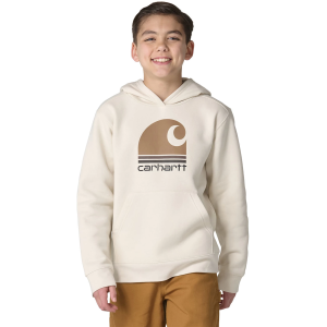 Carhartt Boys' Half C Graphic Hoodie, Large, Turtledove