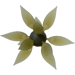 Hideup HideUp Coike Fish Gill Lure, Watermelon - $22.99 at DICK'S Sporting Goods