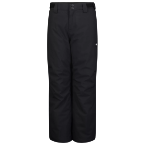 Quiksilver Boys' Estate Snow Pants, Small, Black