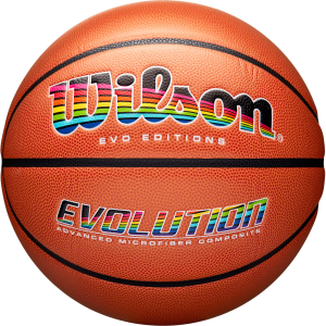 Wilson Evo Editions Technicolor Basketball, Brown/Technicolor