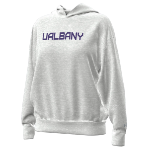 Under Armour Women's Albany Great Danes Grey Icon Fleece Pullover Hoodie, Small, Gray