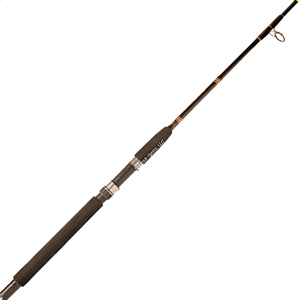 Star Rods Ariel Boat Spinning Rod, Aluminum