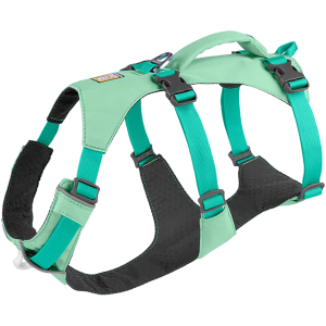 Ruffwear Flagline Dog Harness with Handle, Small, Sage Green