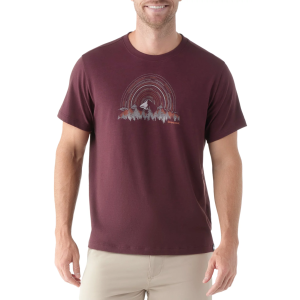 SmartWool Men's Never Summer Mountain Graphic Short Sleeve T-Shirt, XL, Eggplant