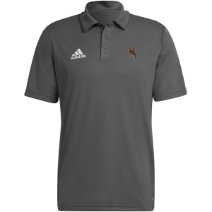 Adidas adidas Men's Wyoming Cowboys Grey Entrada 22 Polo, Small, Gray - $62.00 at DICK'S Sporting Goods