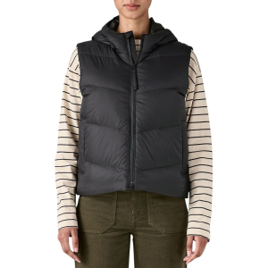 Patagonia Women's Sindit Vest, Small, Black