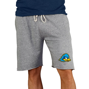 Concepts Sport Concepts Sport Men's Delaware Fightin' Blue Hens Charcoal Mainstream Shorts, Small, Gray - $45.00 at DICK'S Sporting Goods