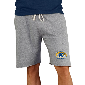 Concepts Sport Concepts Sport Men's Kent State Golden Flashes Charcoal Mainstream Shorts, Small, Gray - $45.00 at DICK'S Sporting Goods