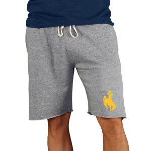 Concepts Sport Concepts Sport Men's Wyoming Cowboys Charcoal Mainstream Shorts, Small, Gray - $45.00 at DICK'S Sporting Goods