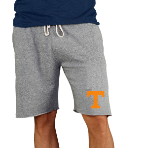 Concepts Sport Concepts Sport Men's Tennessee Volunteers Grey Mainstream Terry Shorts, Small, Gray - $45.00 at DICK'S Sporting Goods