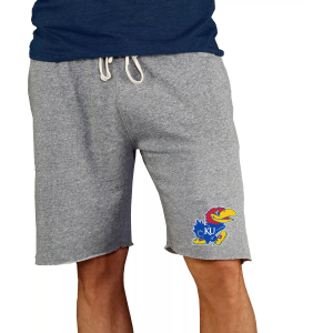 Concepts Sport Concepts Sport Men's Kansas Jayhawks Grey Mainstream Terry Shorts, Small, Gray - $45.00 at DICK'S Sporting Goods