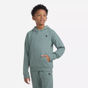 abercrombie kids essential fleece pullover hoodie, Size 5/6, Chinois Green