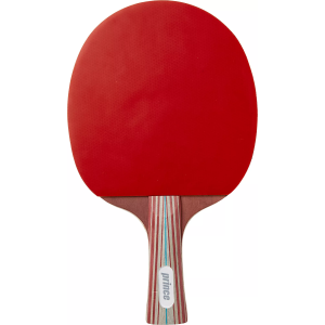 Prince Precision Table Tennis Paddle, Storm
