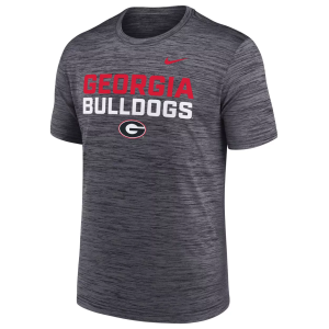 Nike Men's Georgia Bulldogs Black Velocity Stack T-Shirt, Small
